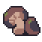 Shiitake